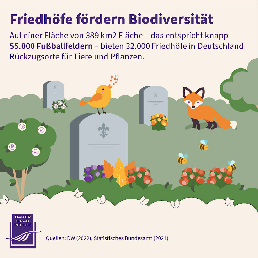 Infografik: Friedhöfe foerdern Biodiversität