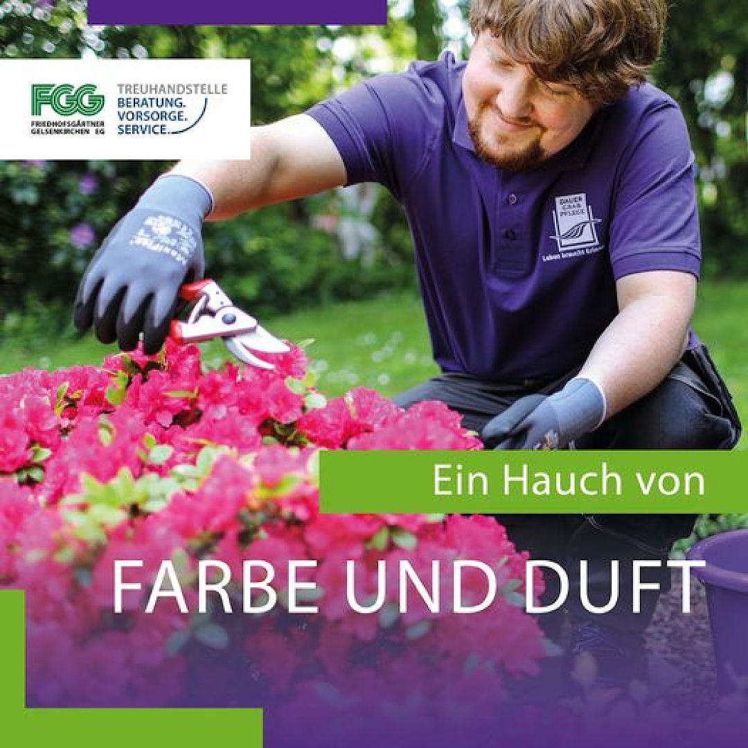 Ein Hauch von Farbe und Duft