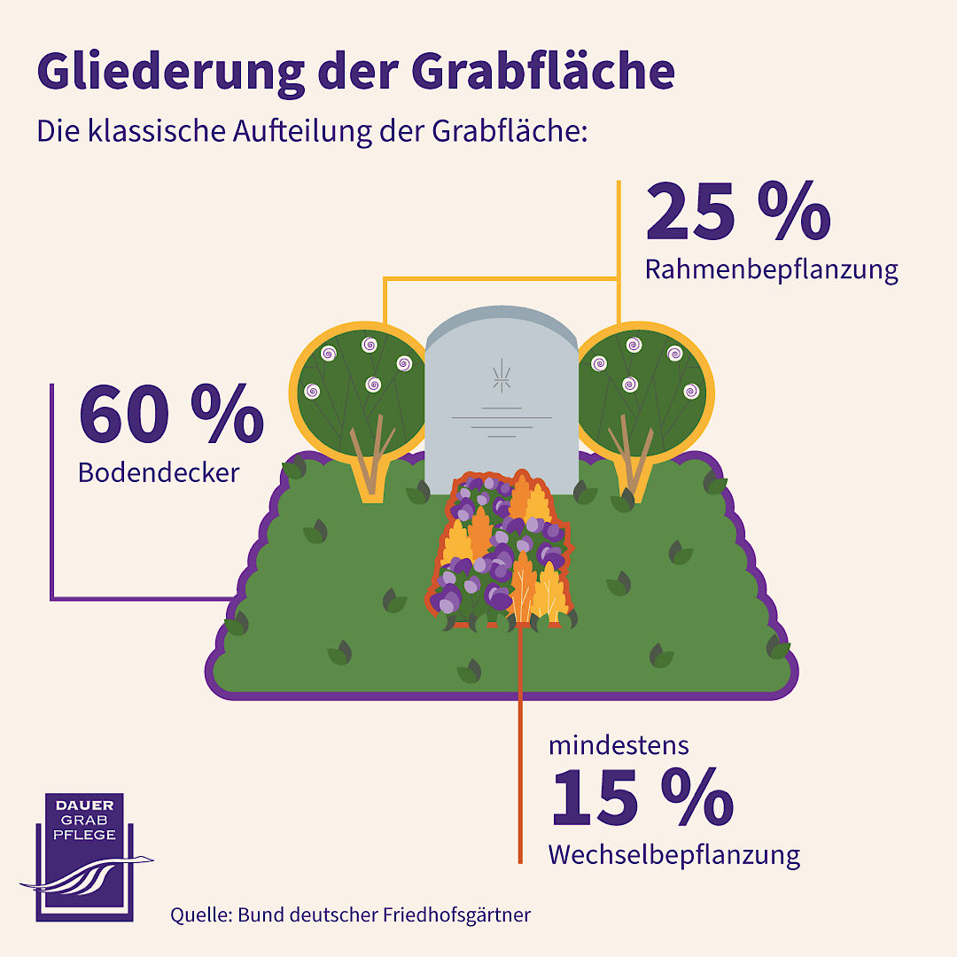 Infografik: Gliederung der Grabfläche